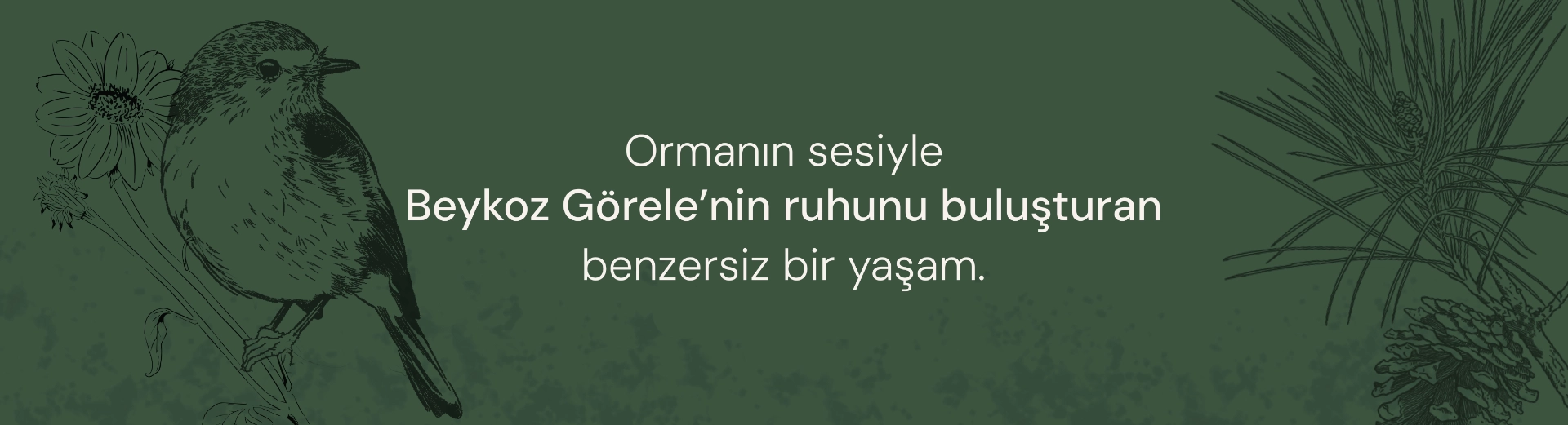 Ormanın sesiyle Beykoz Görele'nin ruhunu buluşturan benzersiz bir yaşam.